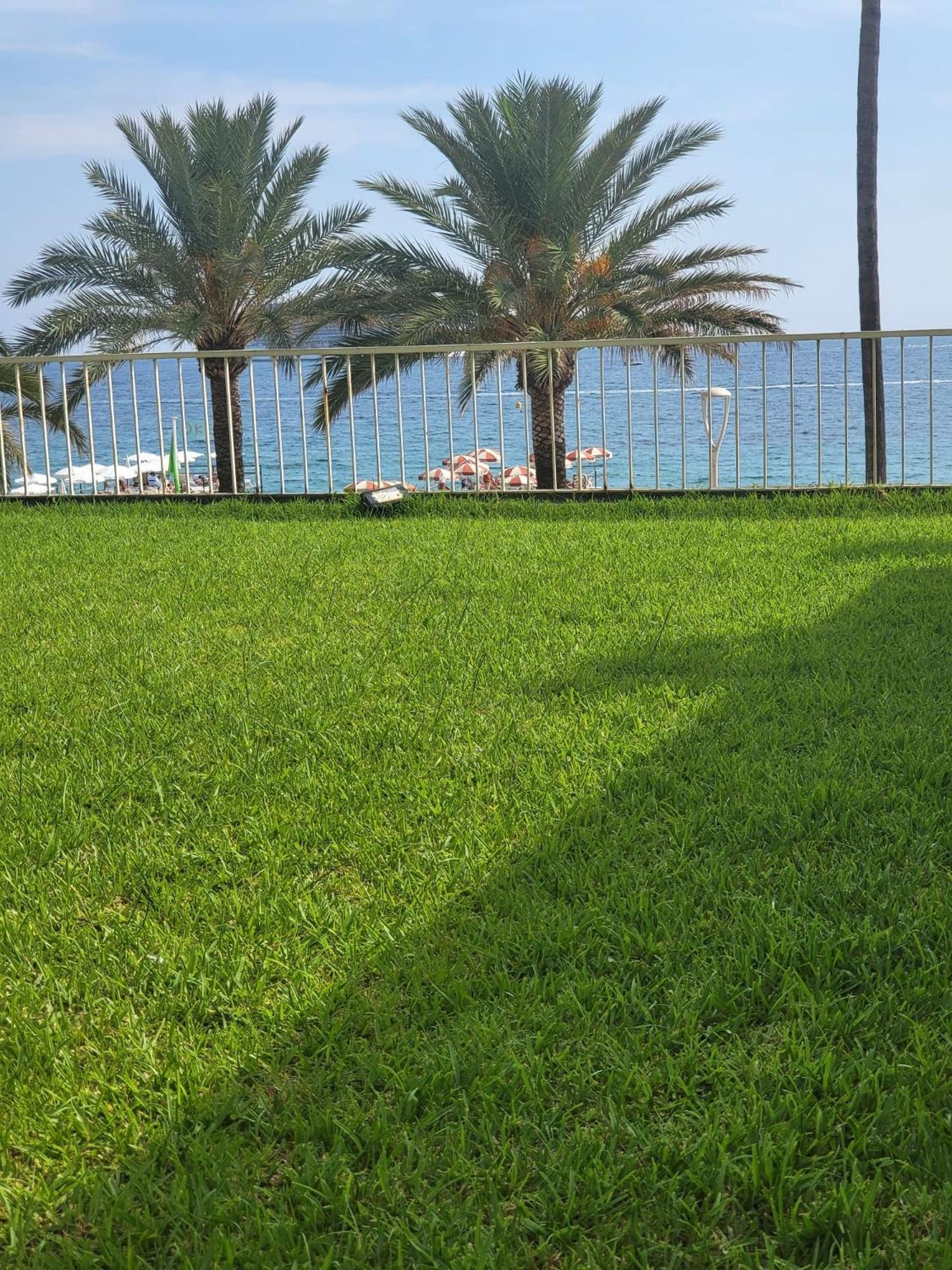 Sea View - 18h *